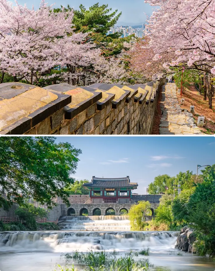 Bunga sakura di Suwon Hwaseong Fortress di bagian atas, air terjun di depan Suwon Hwaseong Fortress di bagian bawah