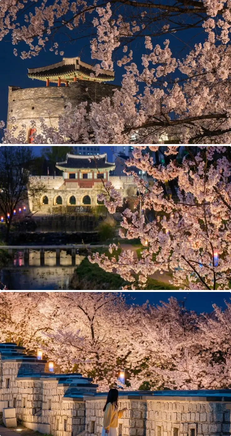 Illuminated Hwaseong Haenggung at night in Suwon.