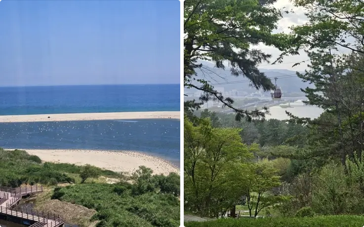 Views from the Uljin Wangpicheon Cable Car