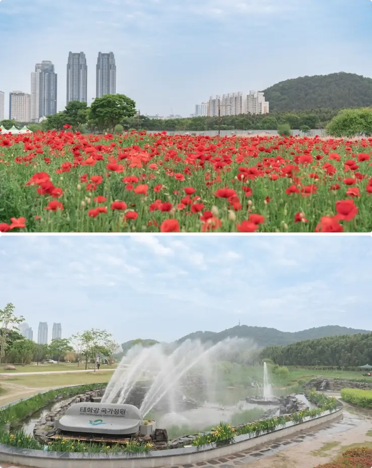 Taehwagang National Garden in Ulsan