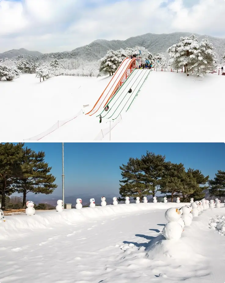 Snow sled tracks at Vivaldi Park Snowy Land