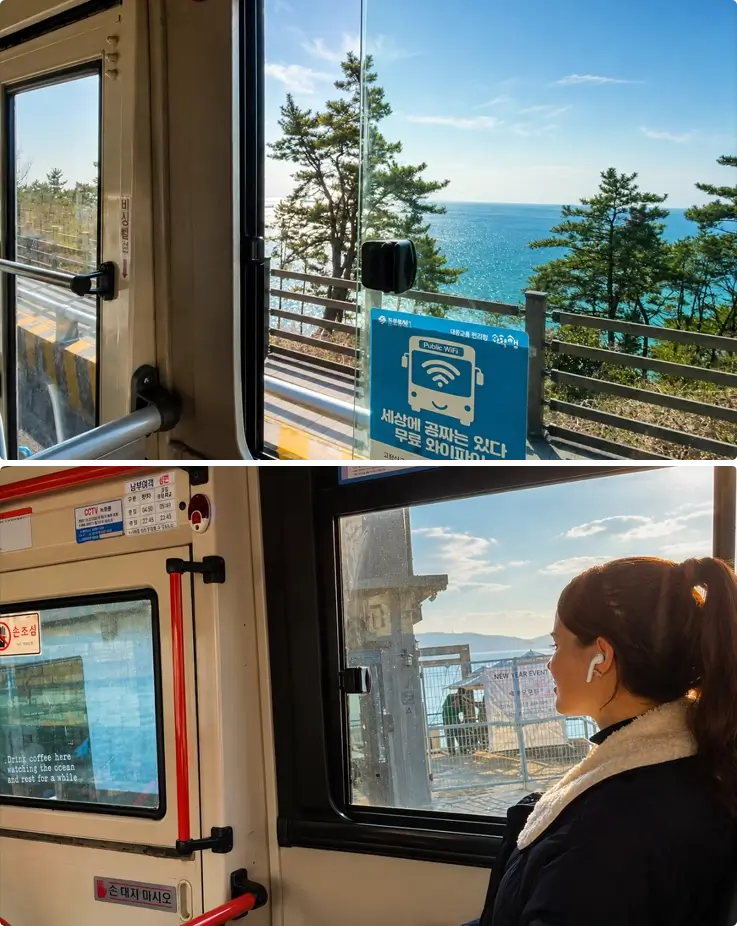 Visitor on a bus ride in Busan