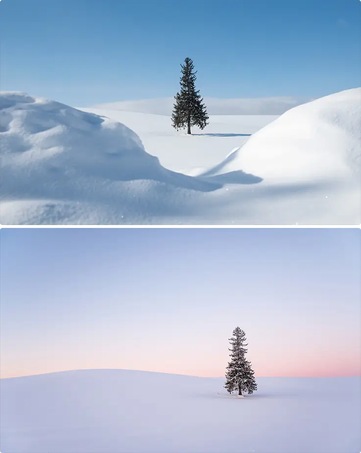 Beautiful Biei Christmas Tree in a snowy field