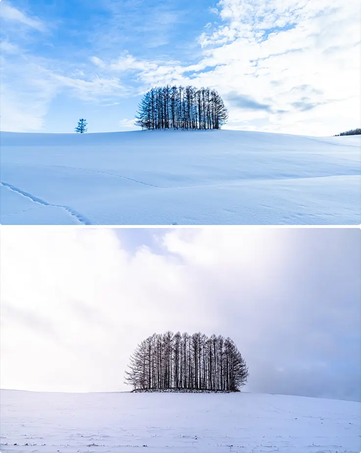 Panoramic views of Mild Seven Hill in Biei
