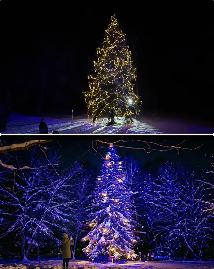 Lovely illumination at the Ceramic Tree of Shirogane Birke in Biei
