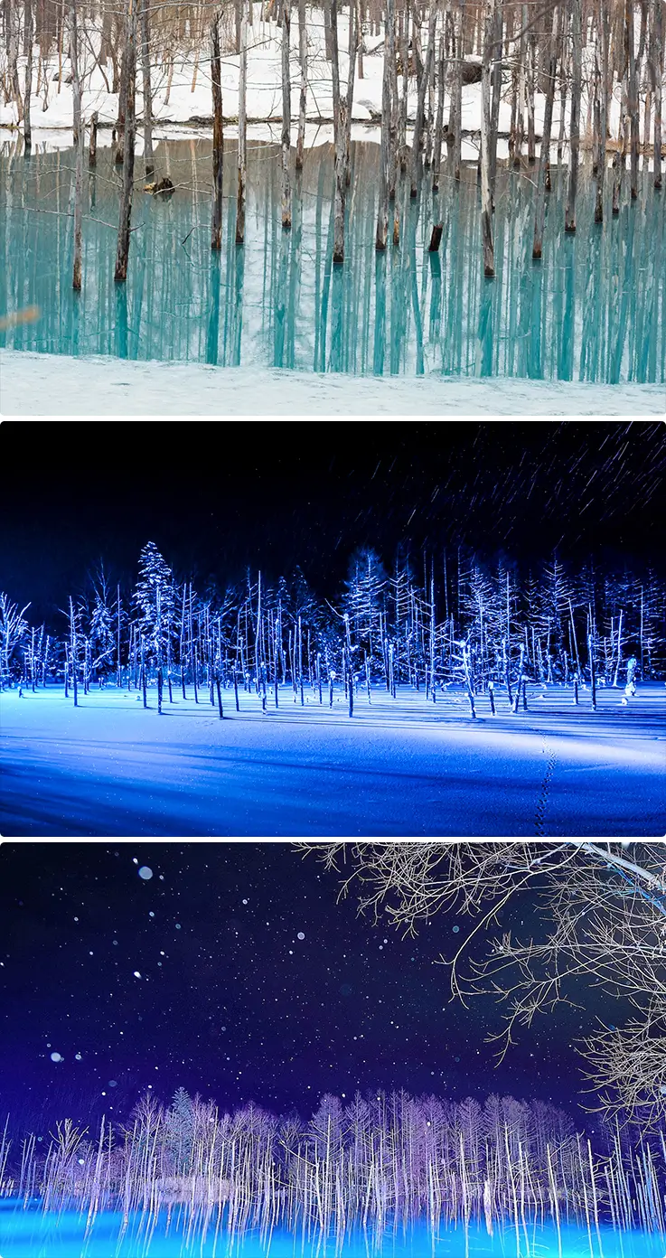 Day and night's illumination scenery of Shirogane Blue Pond in Biei