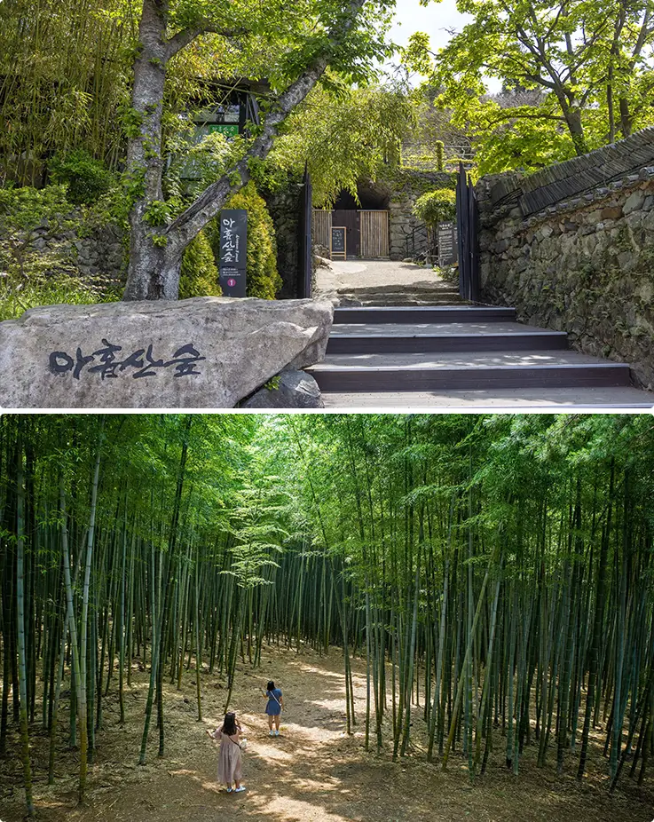 Ahopsan Forest entrance with stone signage and lush bamboo grove walking path in Busan.