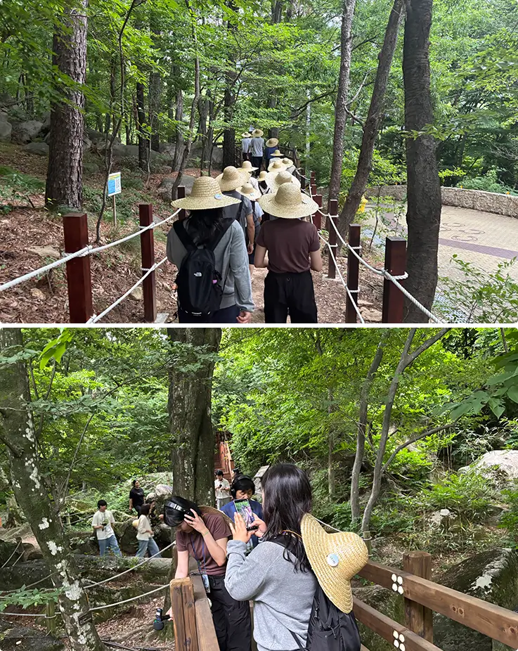Hikers in straw hats trek along a shaded forest trail through Geumjeongsan.