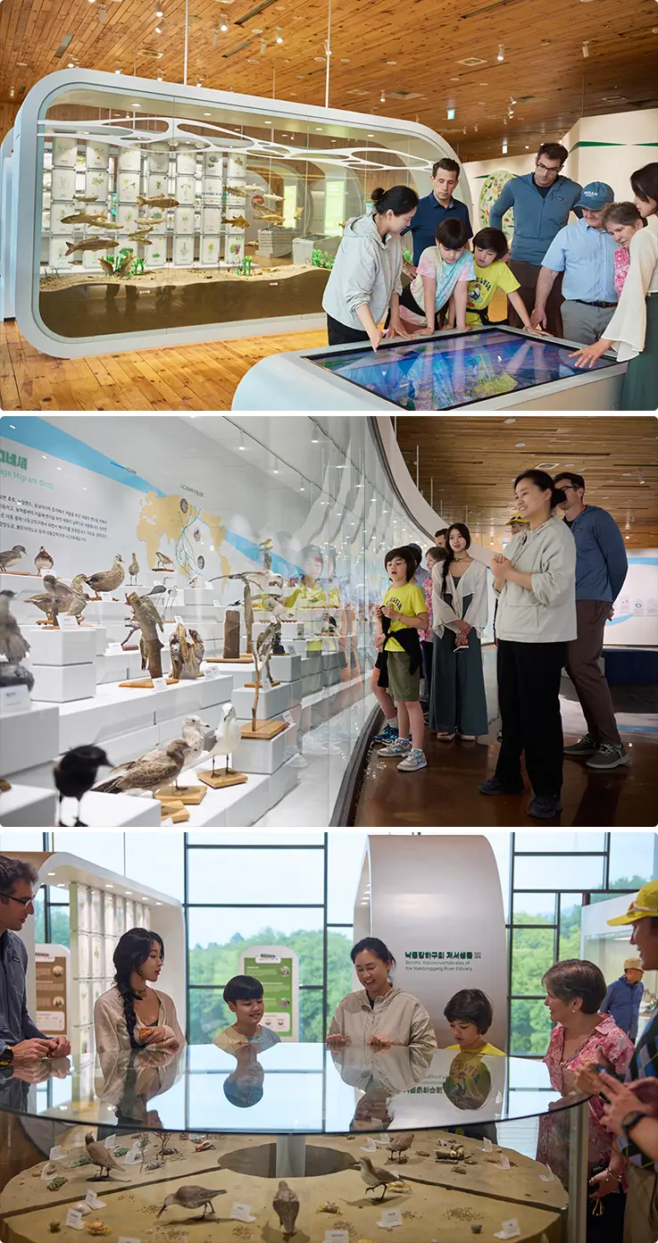 Guided expert tour of interactive wetland exhibitions and migratory bird displays at eco center.