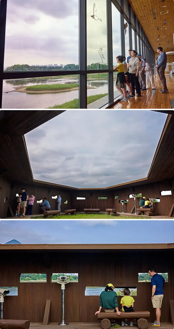 Tour group observing scenic Nakdong wetlands and spotting wildlife from birdwatching observation shelters.