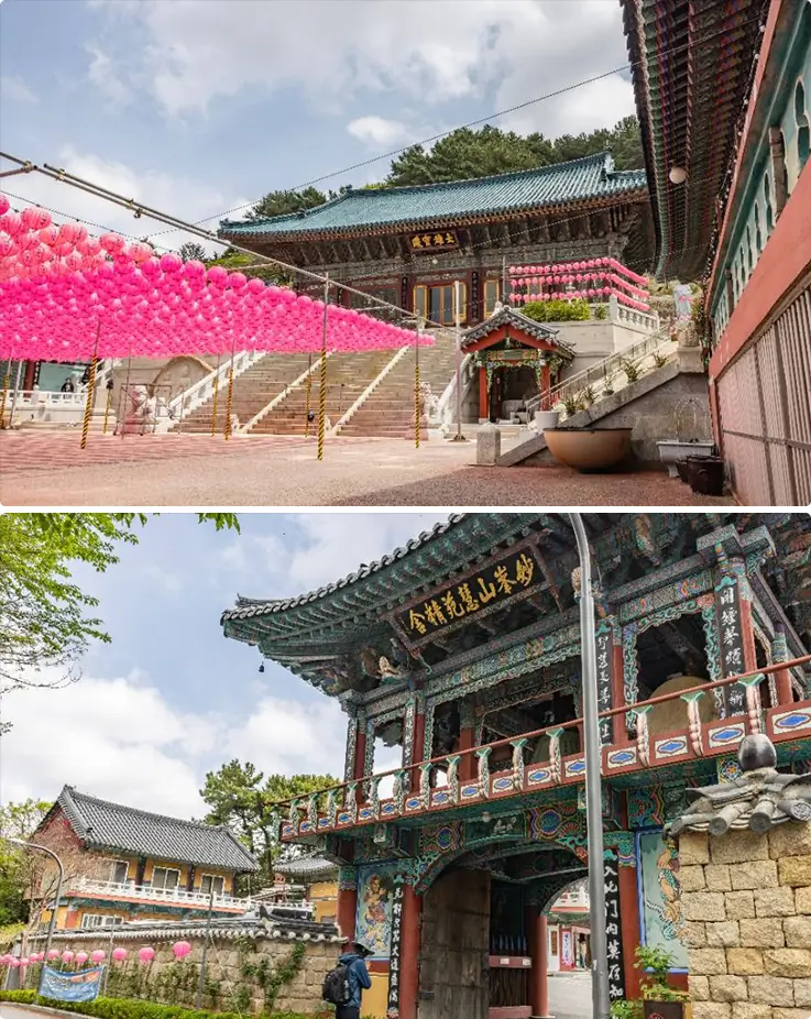Busan Buddhist temple adorned with vibrant pink lanterns and ornate traditional gate.