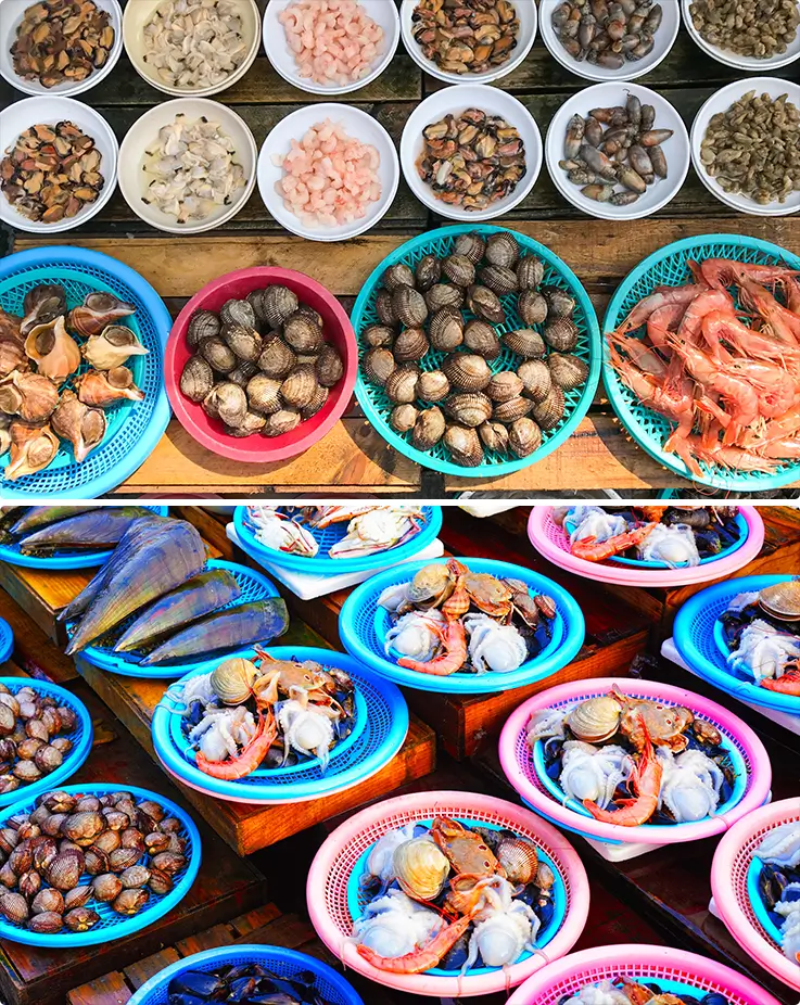 Various fresh seafood at Jagalchi Fish Market in Busan