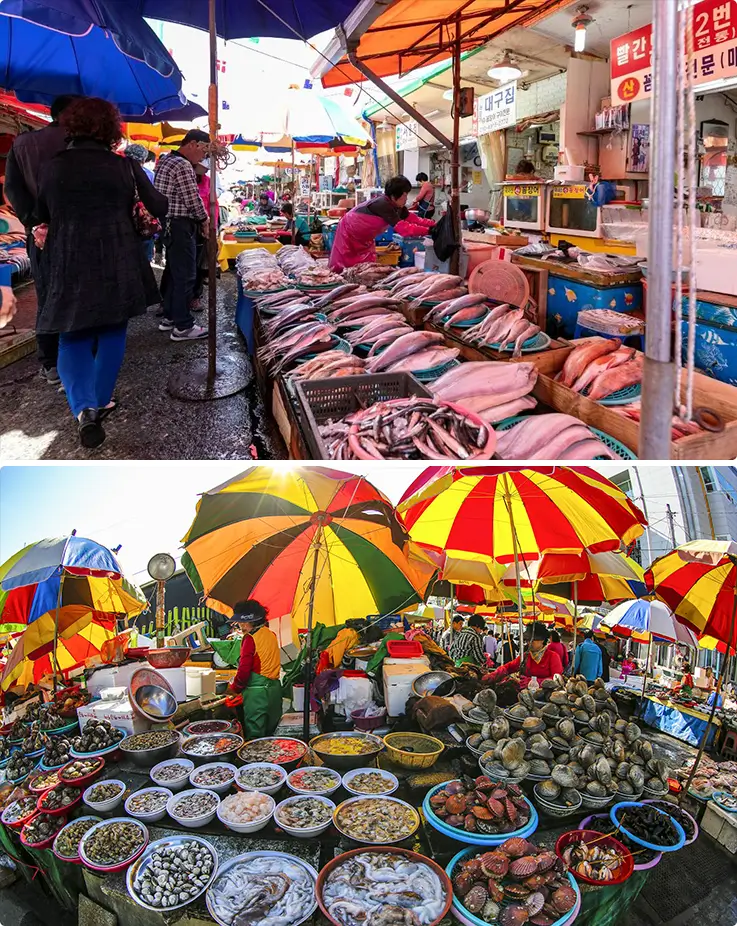 One of Korea's largest seafood market bursting with fresh catch and colorful stalls.
