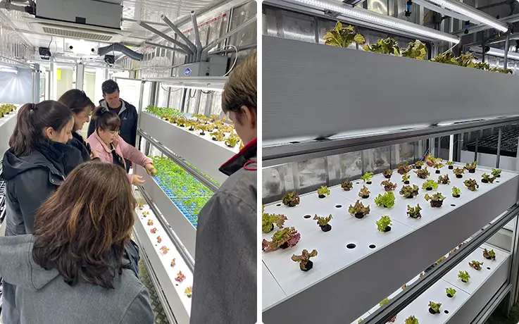 Guests examine vibrant leafy greens thriving on indoor hydroponic smart-farm growing shelves.
