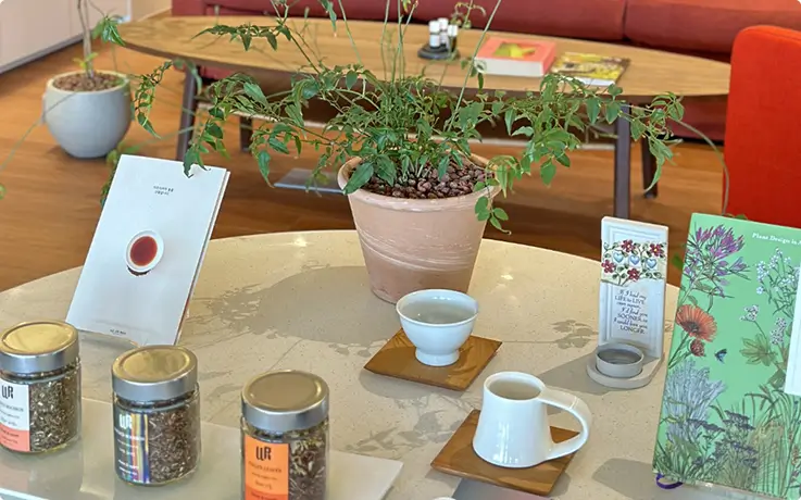 Organic tea leaves and blends displayed for aroma and tea experiences.