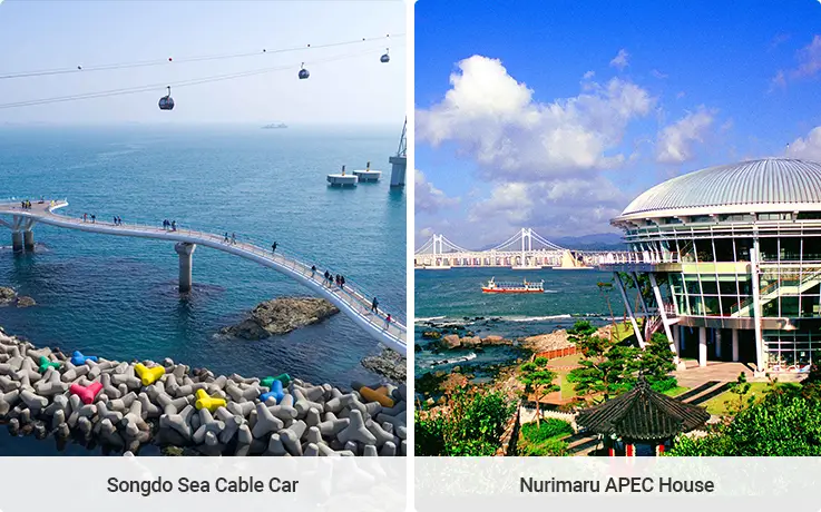 On the left, the Songdo Sea Cable Car is stretched above the blue ocean. On the right, Nurimaru APEC House is shining with a stunning ocean view in Busan.