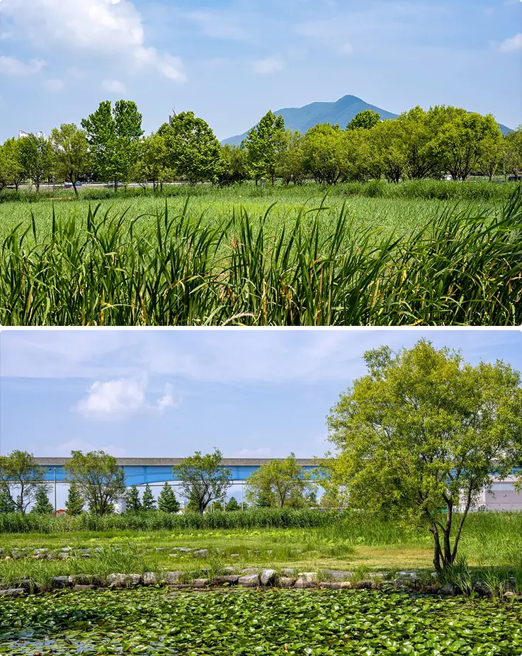 Scenic views at Samnak Ecological Park in Busan