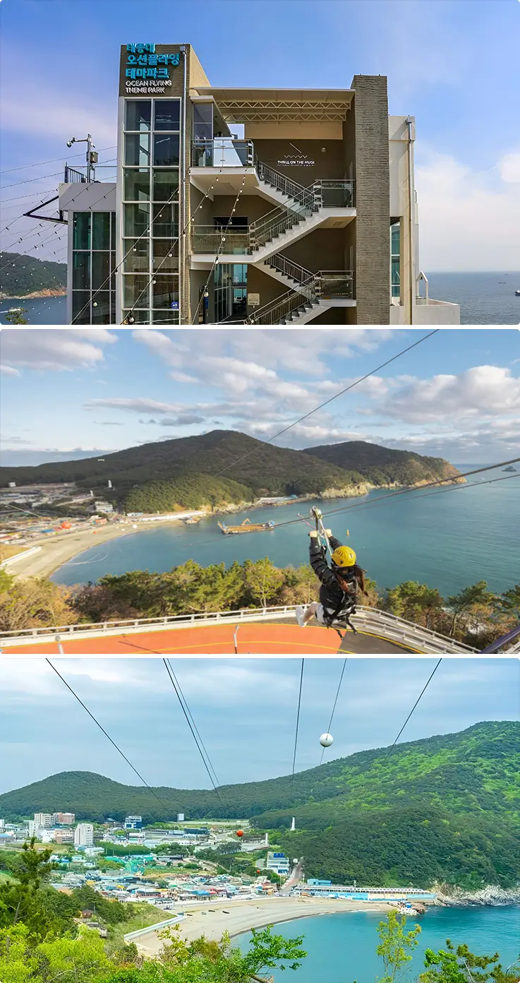 Zipline riding at Taejongdae Ocean Flying Theme Park in Busan