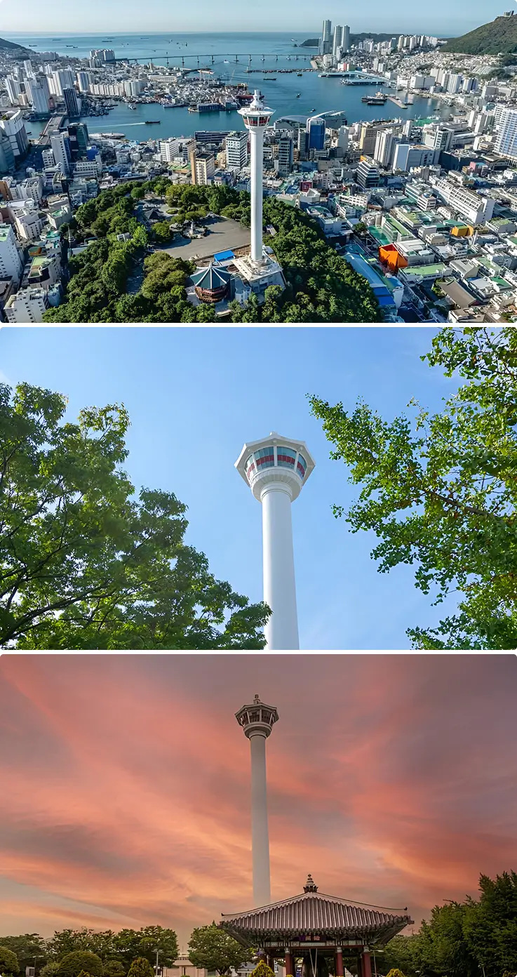 Busan Tower rising above the city, coastline, greenery, and a vivid sunset sky.