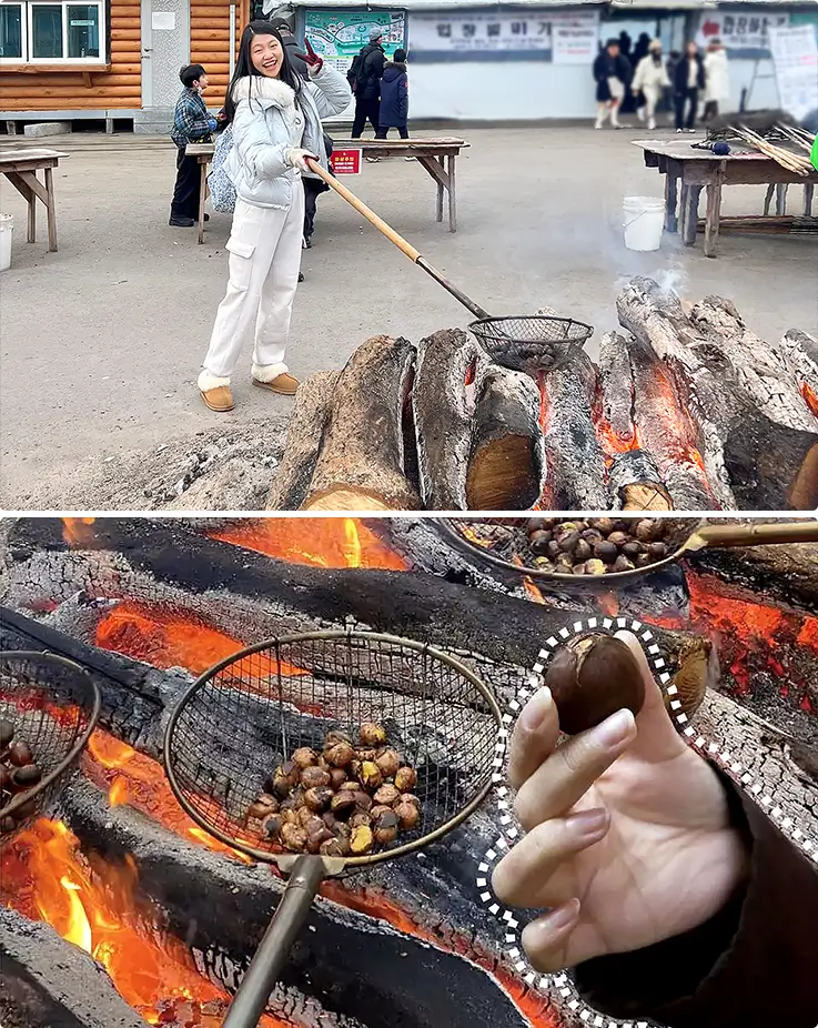 Winter activities at the Chilgapsan Ice Fountain Festival: roasting chestnuts