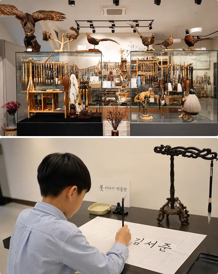 Traditional brush-making museum showcasing handcrafted tools and hands-on Korean calligraphy practice session.