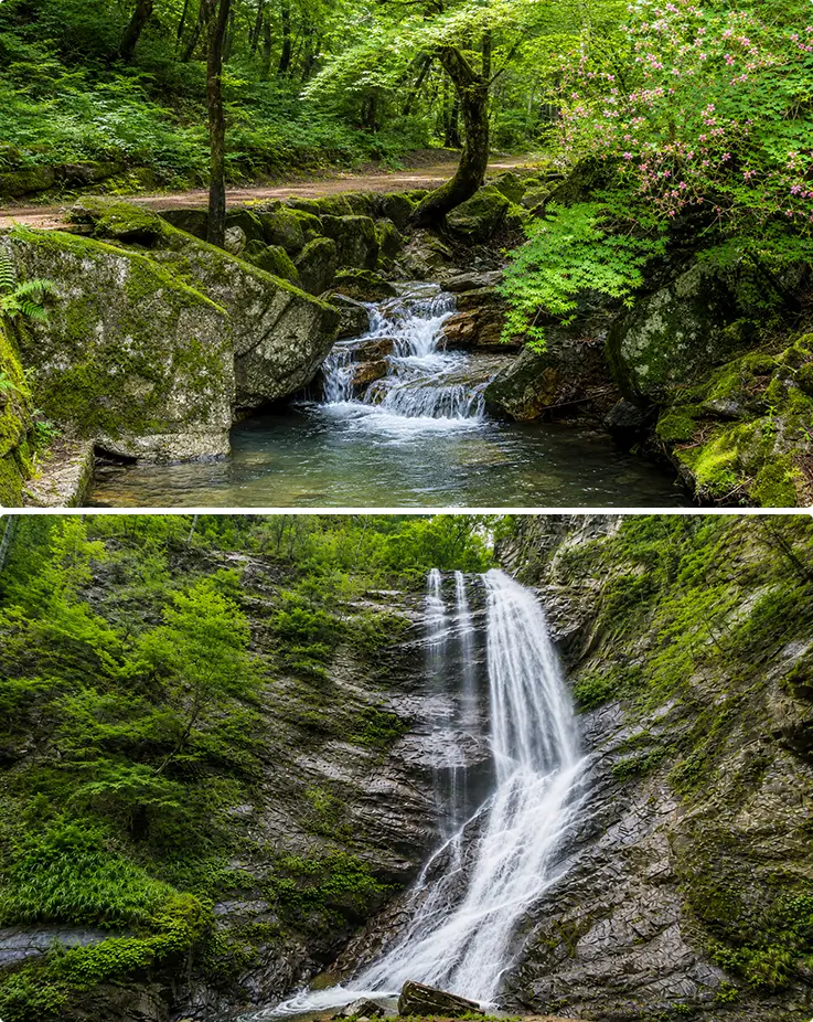 Cascading Gugok Waterfall flowing through lush green forest and mossy rock trails.