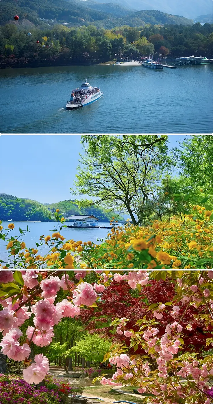 A ferry to Nami Island in Chuncheon and its spring scenery