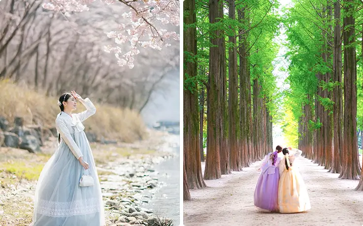 People wearing hanbok at Nami Island in Chuncheon