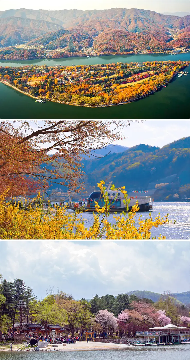 Panoramic seasonal views at Nami Island in Chuncheon