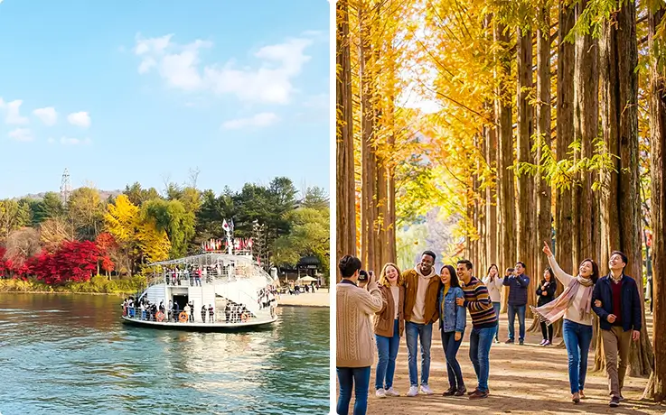 Ferry ride and travelers in golden metasequoia tree lane at Nami Island.