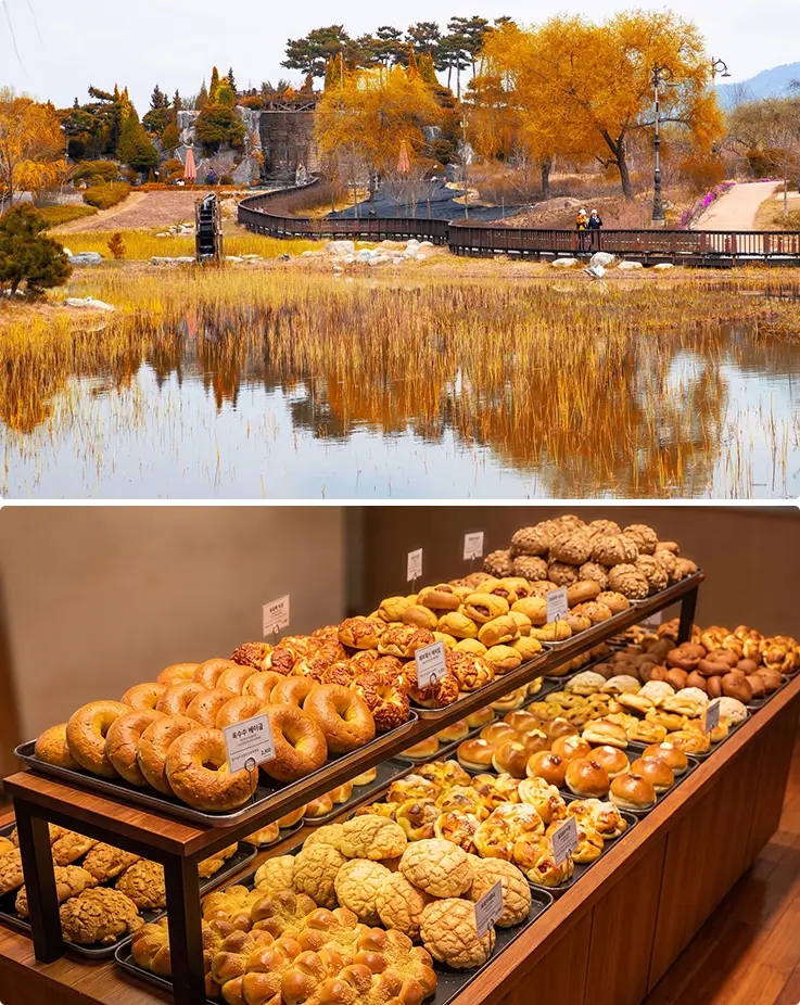troll golden autumn wetlands, then savor fresh-baked treats at a beloved bakery.