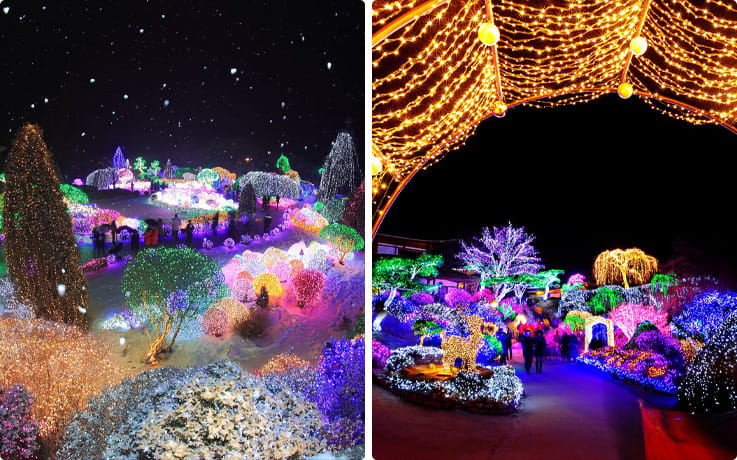 Winter Light Festival at The Garden of Morning Calm
