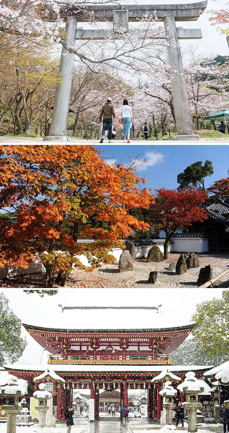 Beautiful seasonal views at Dazaifu Tenmangu Shrine in Fukuoka