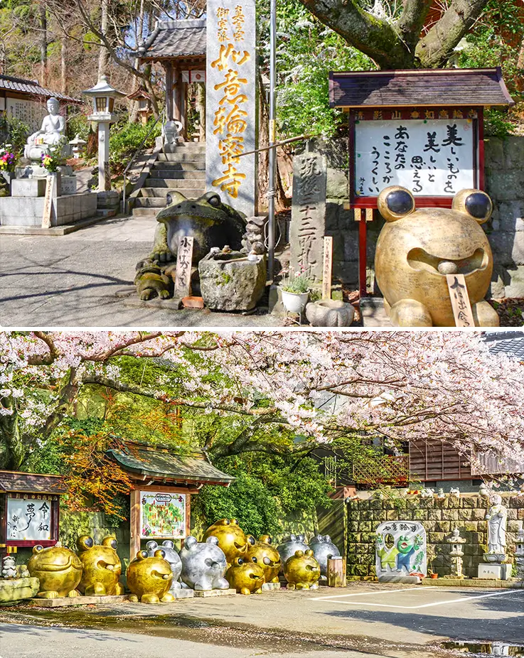 Charming frog statues and scenic cherry blossom view at Nyoirinji Frog Temple in Fukuoka