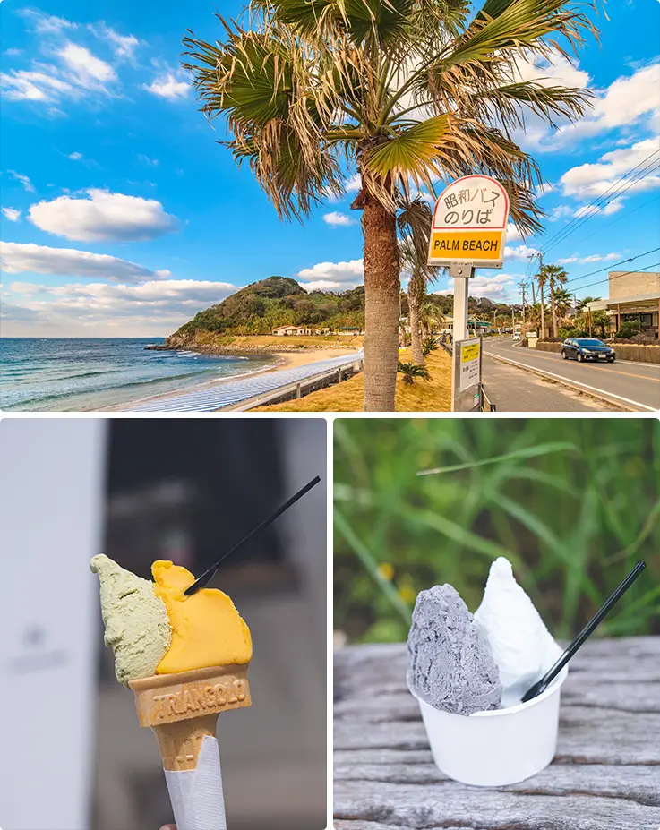 Various flavors of gelato of Palm Beach The Gardens Cafe in Fukuoka