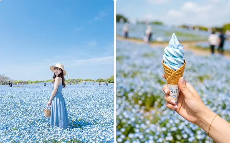 A person taking pictures and an ice cream at Uminonakamichi Seaside Park in Fukuoka