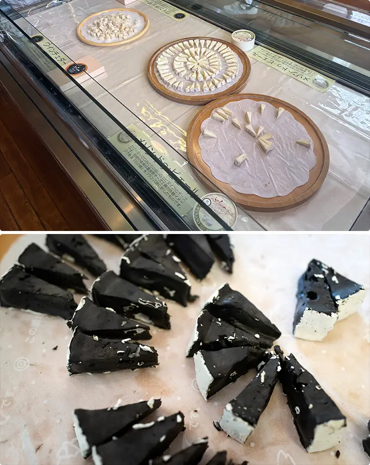 Various fresh cheese at Furano Cheese Factory