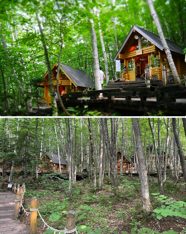 Charming village with forest at Ningle Terrace in Furano