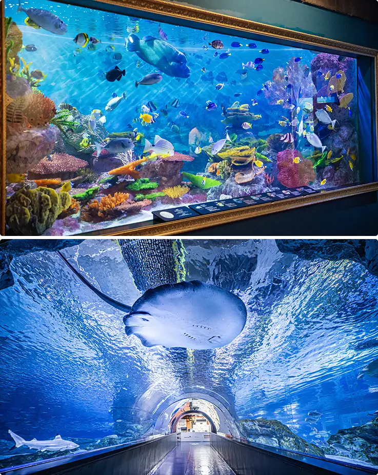 COEX Aquarium