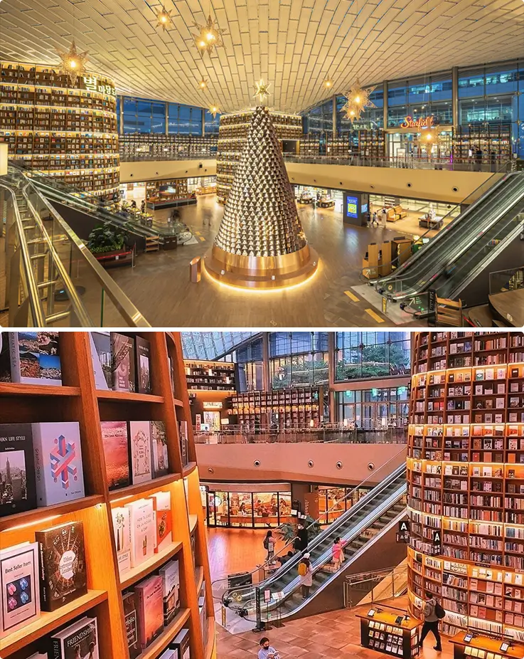COEX Starfield Library