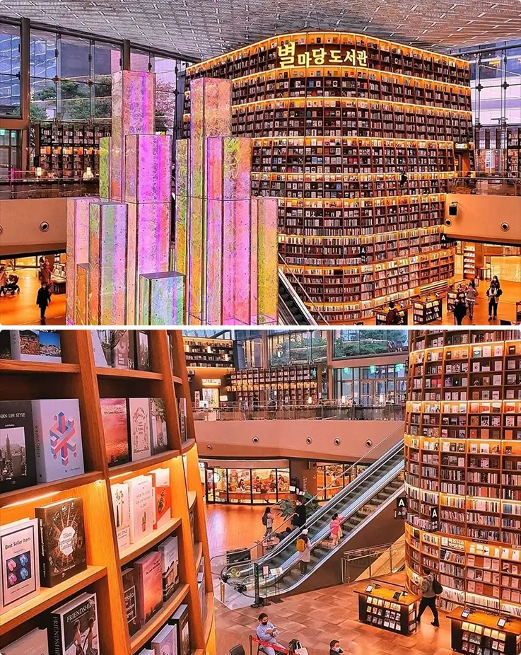 COEX Starfield Library