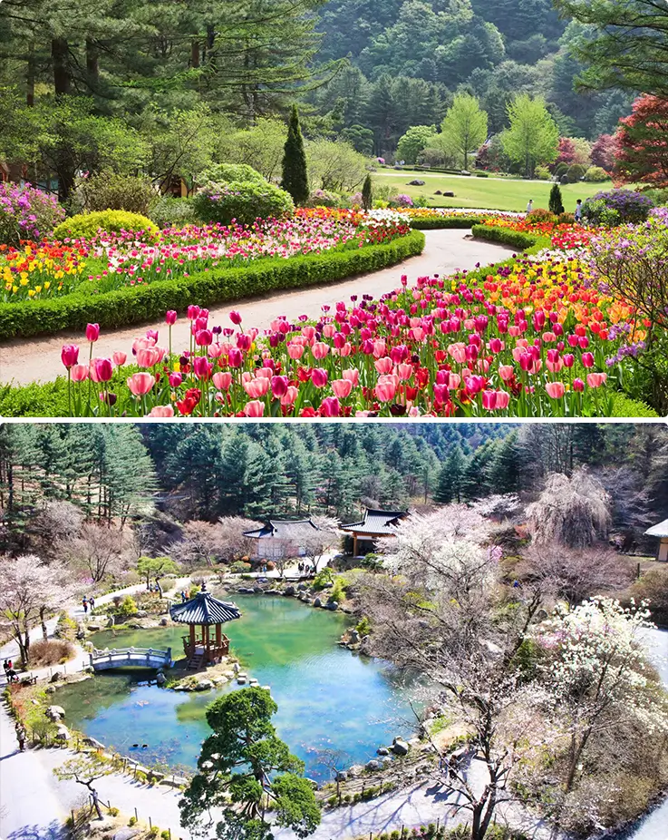 Beautiful flower fields and lake at Garden of Morning Calm in Gapyeong