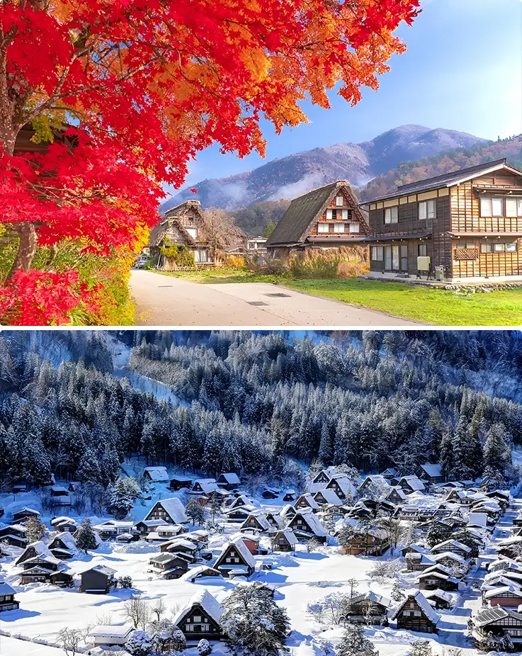 Stunning scenery in autumn and winter at Shirakawa-go Village in Gifu