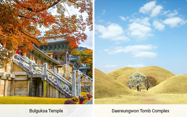 Maple leaves adorn the Bulguksa Temple on the left, and signature photogenic trees stand in the center of Daereungwon Tomb Complex on the right.