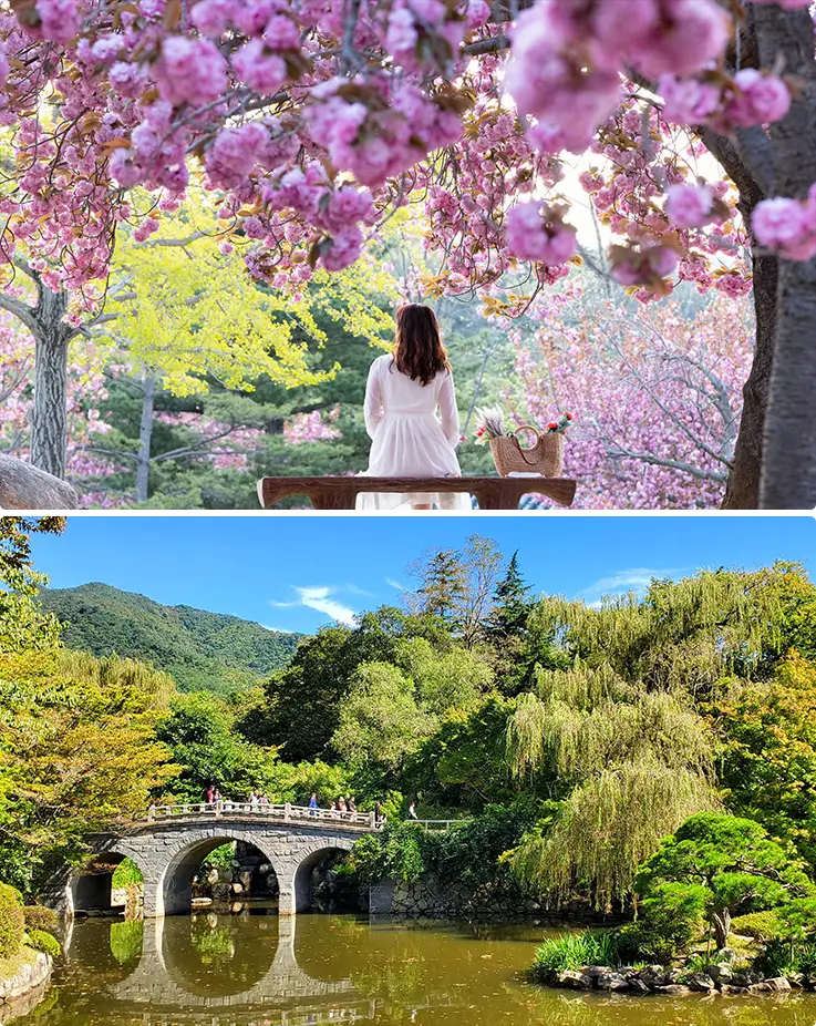Overwhelming spring and summer views at Bulguksa Temple in Gyeongju