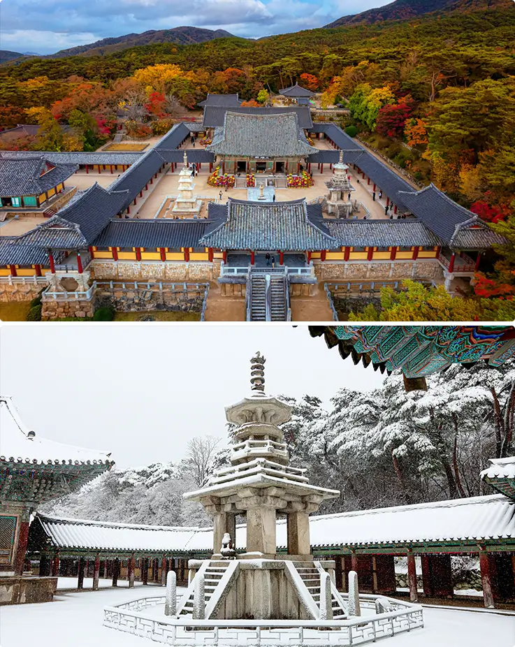 Beautiful autumn and winter views at Bulguksa Temple in Gyeongju
