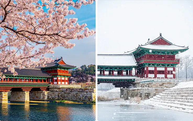 Beautiful spring and winter views at Woljeonggyo Bridge in Gyeongju