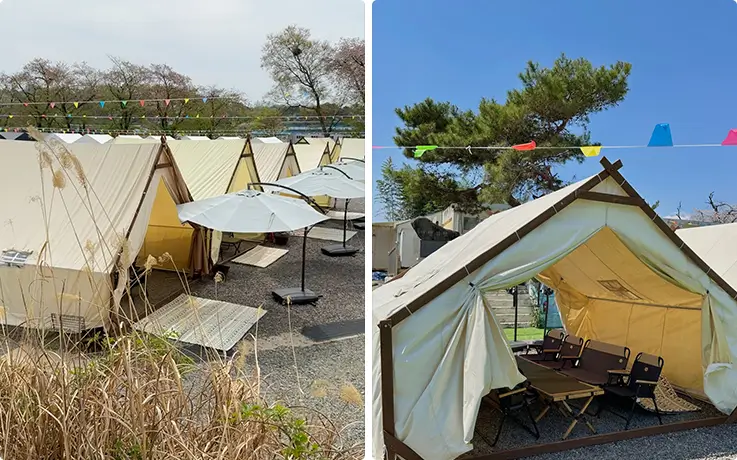 Charming glamping-style tents with tables and chairs set up across the campsite.