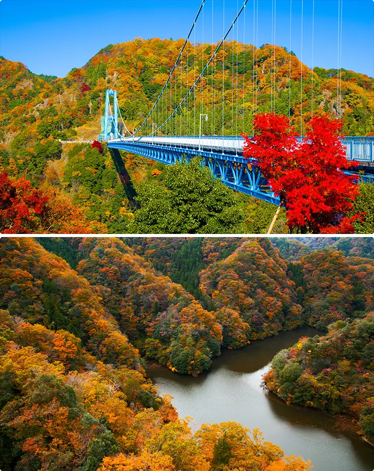 Spans a forested gorge with a towering blue suspension bridge and river views.