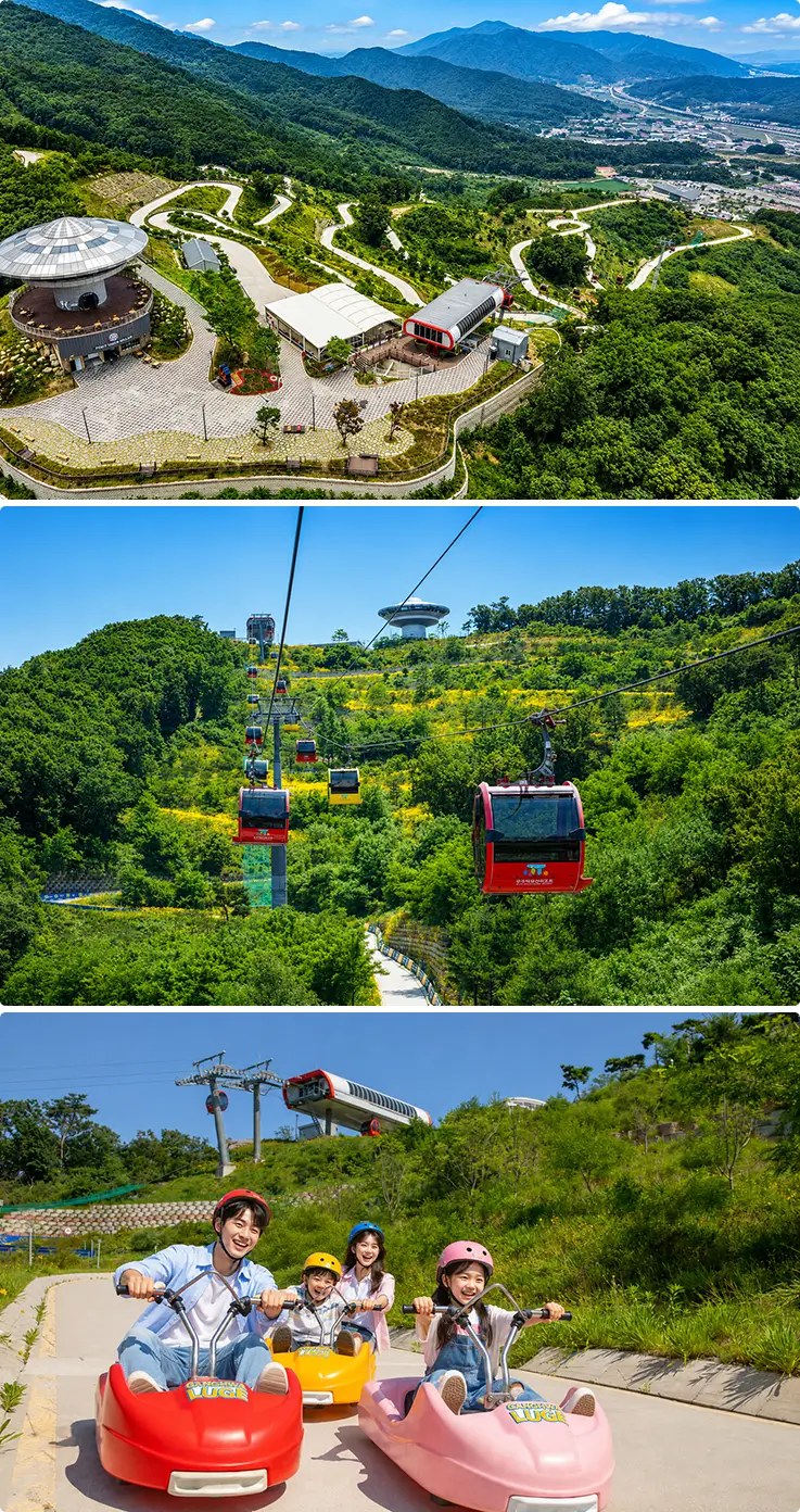Ride cable cars above lush hills before racing down a thrilling luge track.